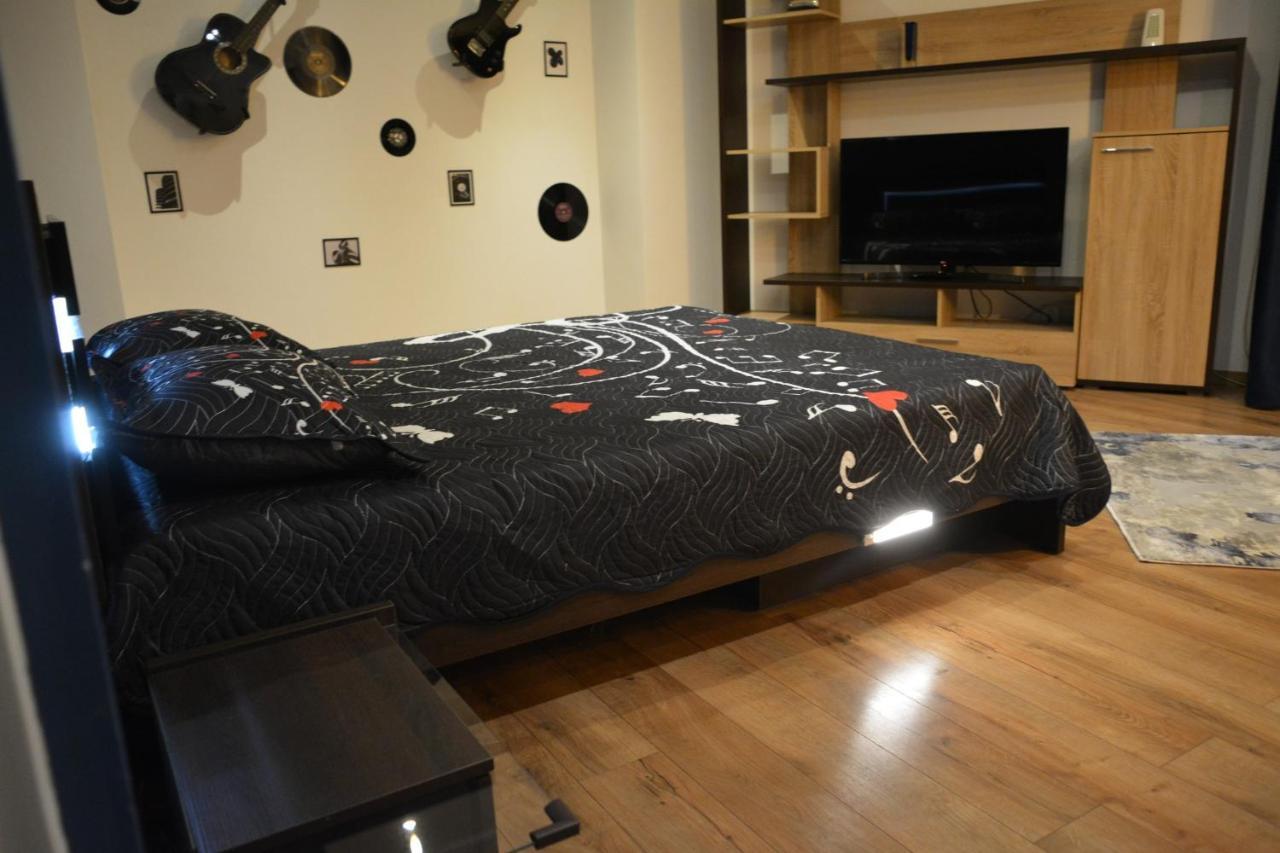 M@D Music Apartment Timisoara Bagian luar foto