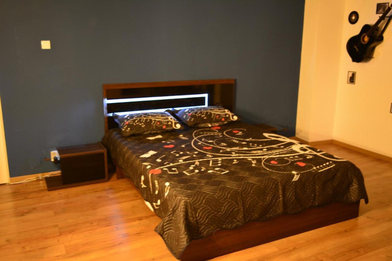 M@D Music Apartment Timisoara Bagian luar foto