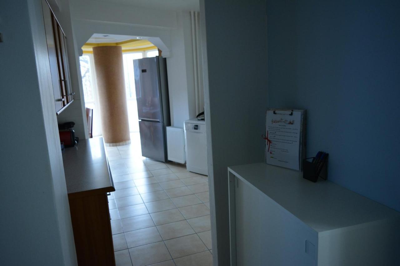 M@D Music Apartment Timisoara Bagian luar foto